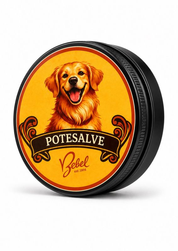 Bebels potesalve